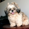 maleecom