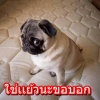 MooTuM ToY