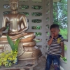 ลี